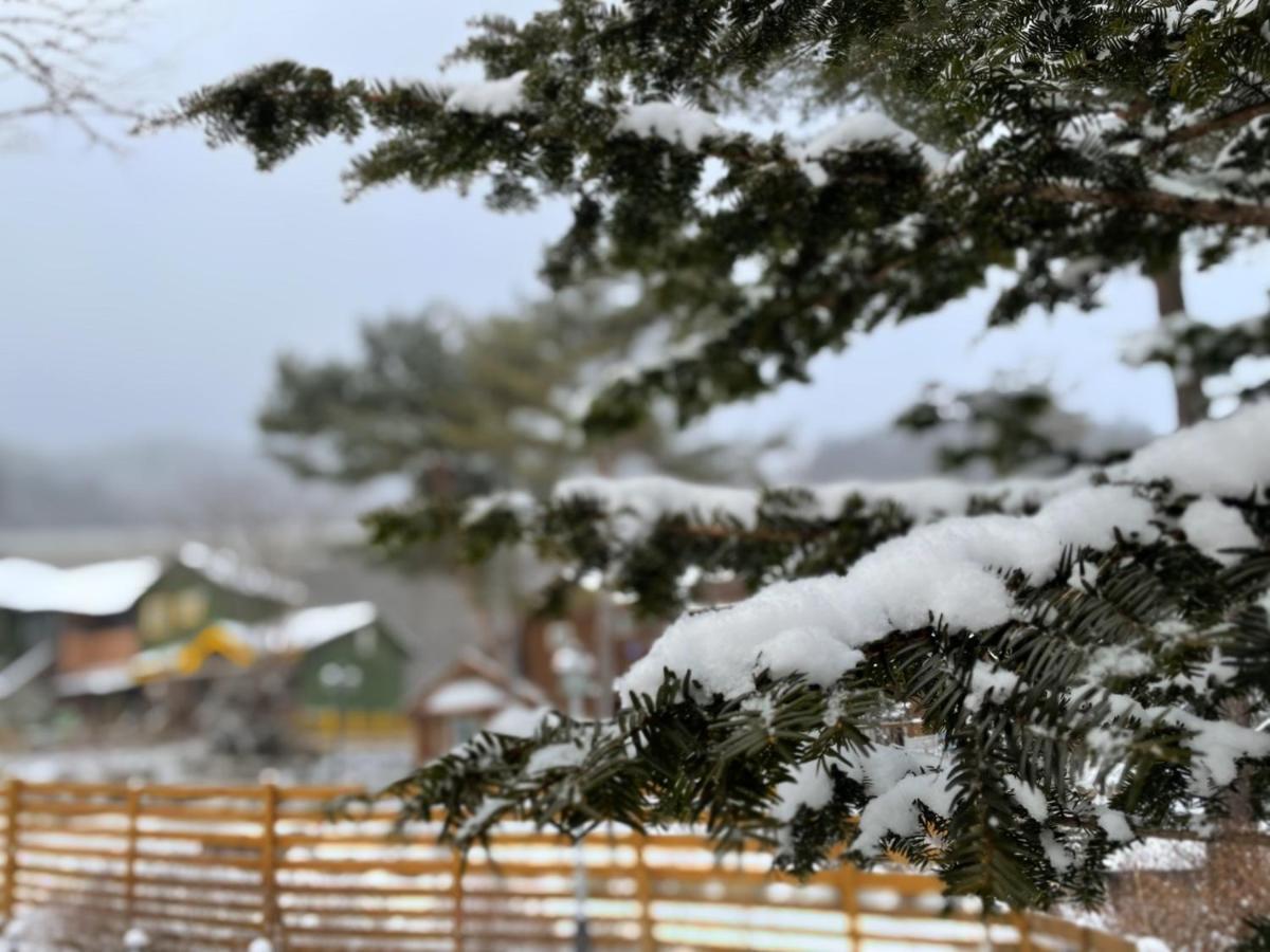 Honey Bear Pension Pyeongchang Exterior foto